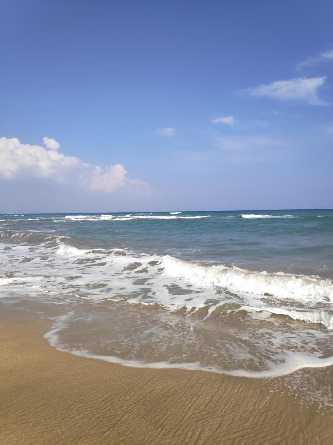 Relax&Dream Apartment Long Beach Agios Georgios  エクステリア 写真