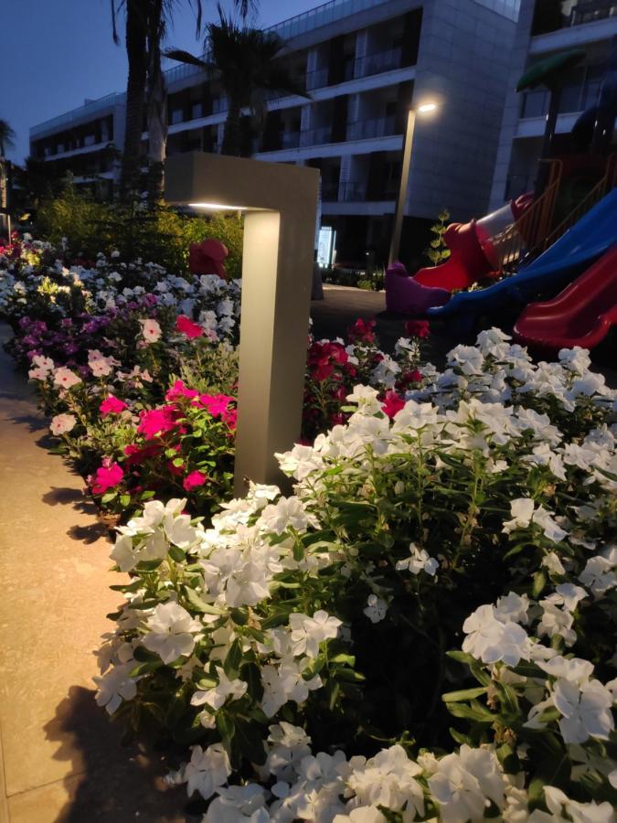 Relax&Dream Apartment Long Beach Agios Georgios  エクステリア 写真